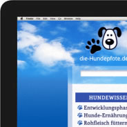 Webbasiertes von durchgedacht - Werbeagentur und Kommunikationsagentur in Berlin-Pankow